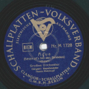 Großes Orchester: Hanns Steinkopf - Sizilianisches Ständchen / Adua