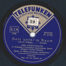 Karl Schmitt-Walter - Sag mir nur einmal ja! / Dort unterm Baum
