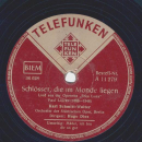 Karl Schmitt-Walter - Mädel, ich bin dir so gut / Schlösser, die im Monde liegen