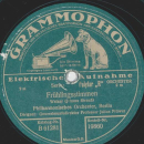 Julius Prüwer - Geschichten aus dem Wiener Wald / Frühlingsstimmen