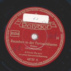 Alfons Bauer - Rauschen in der Partnachklamm / Die singende Zither