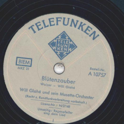 Will Glahé und sein Musette-Orchester - Blütenzauber / Regenpfeifer sing dein Lied