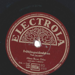 Alfons Bauer, Zither - Ein Abend am Traunsee / Frühlingsständchen