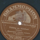 Grammophon Künstler Orchester - Frühling am...