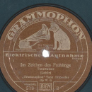 Grammophon Künstler Orchester - Frühling am Mühlbach / Im Zeichen des Frühlings