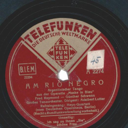 Adalbert Lutter mit großem Tanzorchester - Am Rio Negro / Ich sag zu ihnen "Sie", schöne Frau