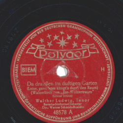 Walther Ludwig - Da draußen im duftigen Garten / Grüß mir mein Wien