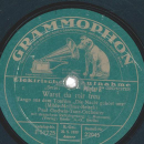 Paul Godwin-Tanz-Orchester - Warst du mir treu / Schlaf...