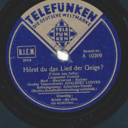Schuricke Terzett - Hörst du das Lied der Geige / Briefe - die dich nie erreichen