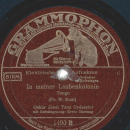Oskar Joost Tanz Orchester - Kleine Möwe, flieg nach Helgoland / In meiner Laubenkolonie