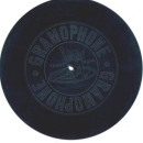 Mr. Edward Lloyd - The Minstrel Boy